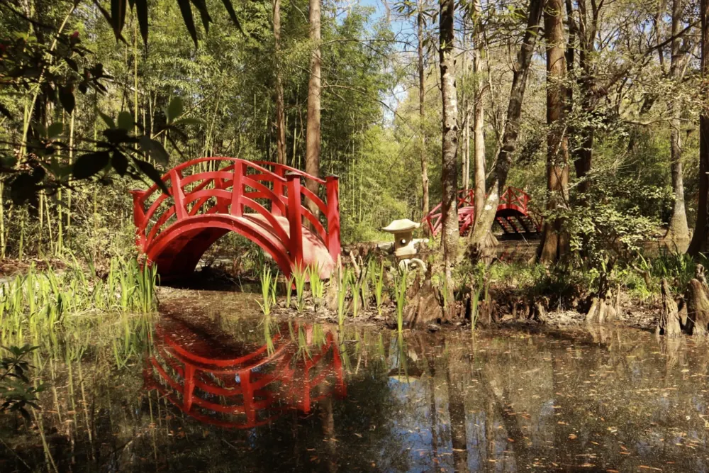 Red footbridge reflected in a forest pond